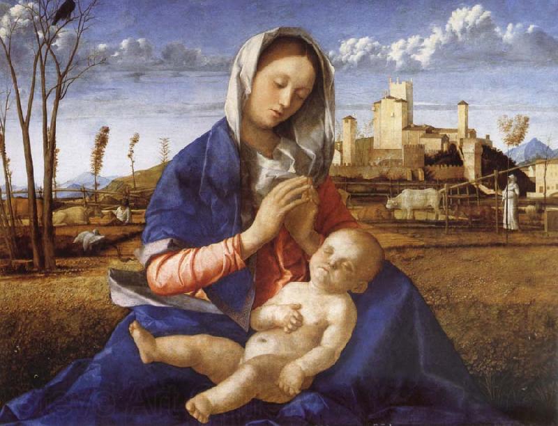 Giovanni Bellini Madonna in the Meadow Norge oil painting art